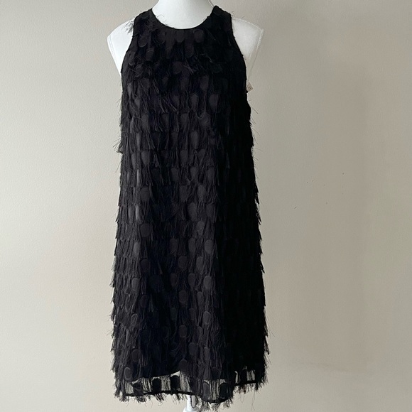 Anthropologie Dresses & Skirts - Anthropologie NWT Roxie Fringe Party Mini Dress Black Size 4